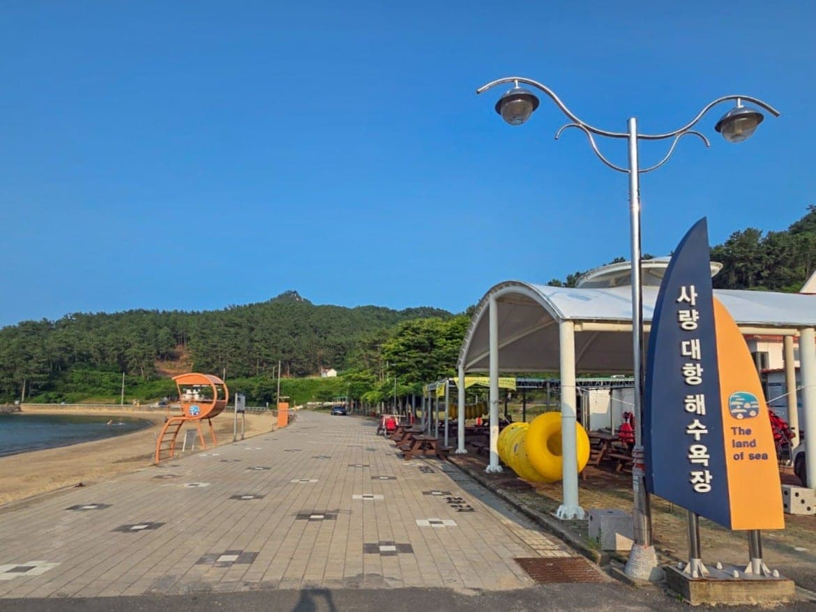 대항해수욕장 해변 산책로와 등나무 터널